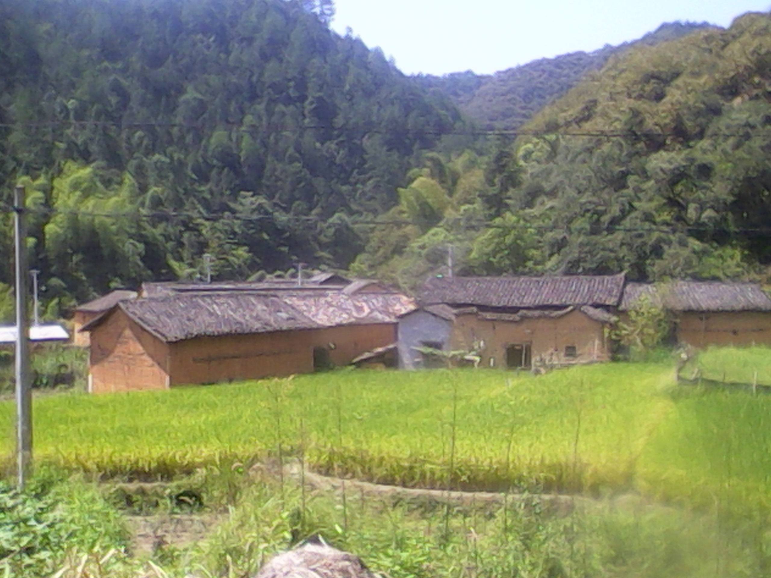 丽水云和梯田【红米】白米【稻田日晒时间长高山稻米10斤包邮