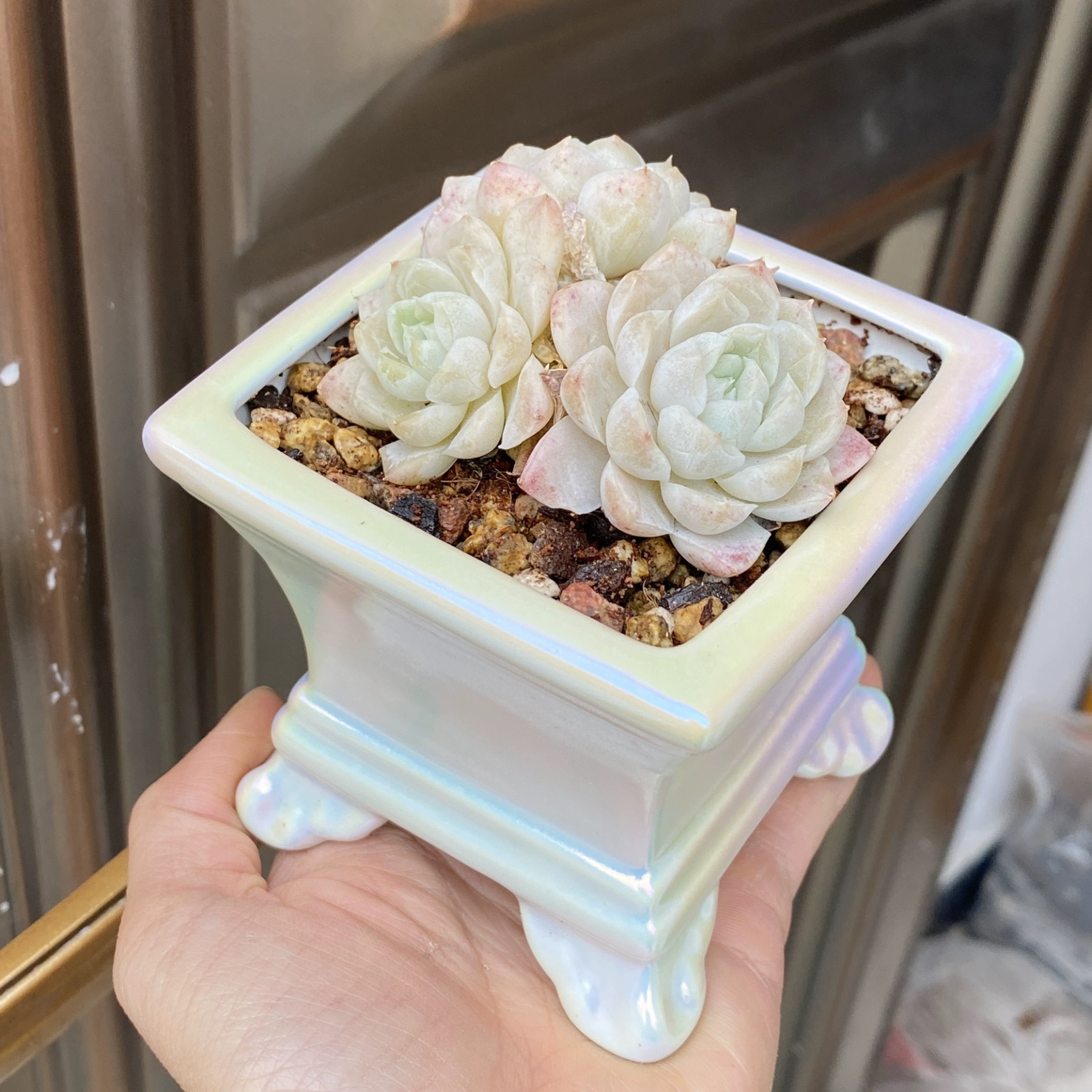 14。《5内口炫彩小方盆》多肉花盆创意简约多肉植物陶瓷小花盆