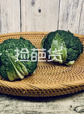 高仿真西兰花椰菜花菜装饰摆件逼真蔬菜模型家居餐厅橱窗摄影道具