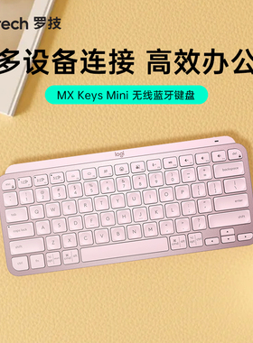 罗技大师系列MX Keys MINI无线蓝牙键盘可充鼠标充电双模电磁时尚