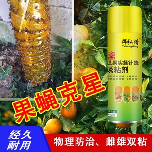 瓜果实蝇诱粘剂大棚粘虫贴果蝇昆虫引诱剂灭针蜂杀虫双面粘虫板