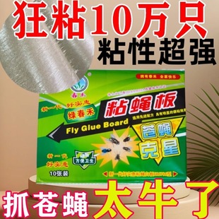 灭蝇苍蝇神器苍蝇贴粘蝇纸板强力沾蚊子粘苍蝇纸灭苍蝇克星一扫光