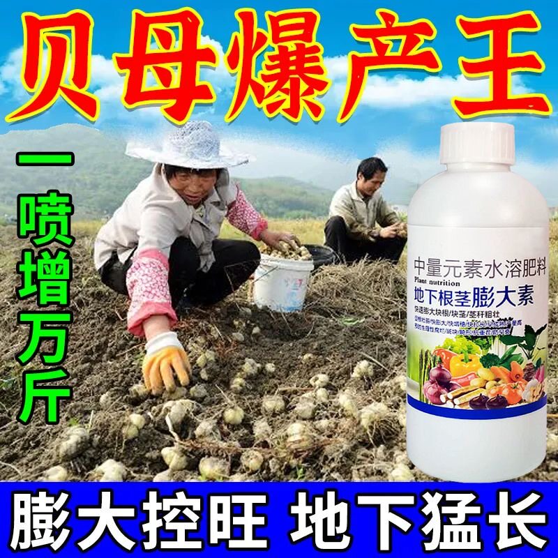 地下根茎土豆膨大素生根壮苗营养液膨大剂中量元素水溶肥料叶面肥
