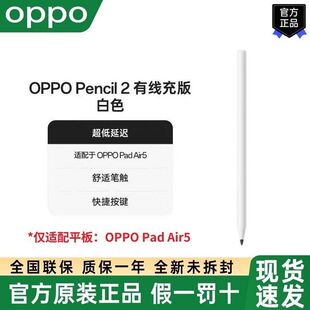 OPPO 适配OPPO pad Air5平板超长续航快捷按键 Pencil2有线充电版