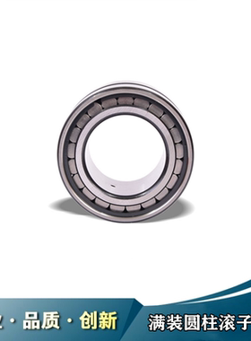 INA满装圆柱滚子轴承SL185044 SL185048 SL185052/P6级黑角工艺