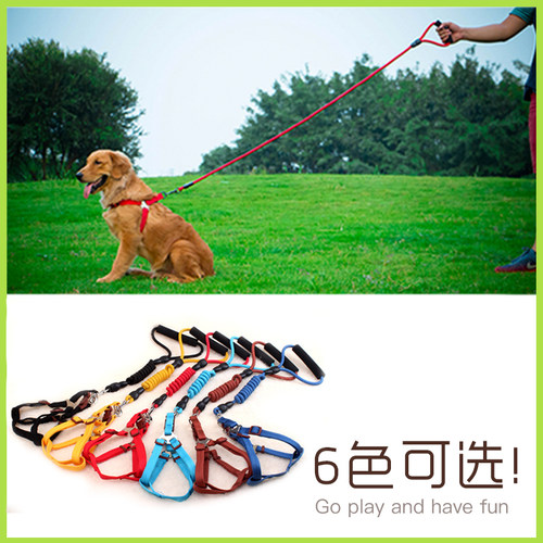 宠物狗狗项圈牵引绳脖套中型小型犬套头圈金毛拉布拉多狗链子狗绳