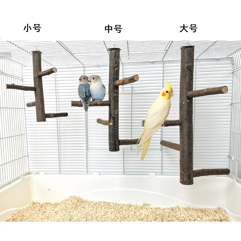 昌哥工坊虎皮牡丹玄凤鹦鹉站架鸟类实木站杆鸟儿木质用品苹果木