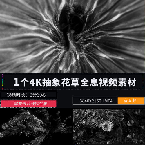 黑白意境空洞花开唯美LED大屏幕舞台背景演出舞蹈酒吧VJ视频素材