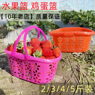 5斤 草莓篮子新塑料水果樱桃蓝莓采摘杨梅手提鸡蛋筐梅花篮2