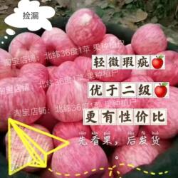 吉县壶口苹果 普通果 红富士，优于二级，微瑕疵. 脆甜  捡漏