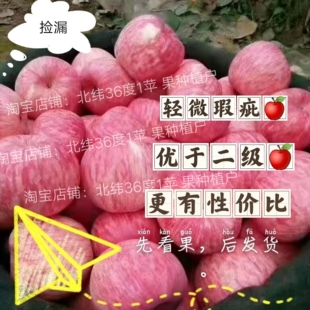 吉县壶口苹果 普通果 红富士，优于二级，微瑕疵. 脆甜  捡漏
