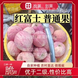 吉县壶口苹果 普通果 红富士,优于二级,微瑕疵. 脆甜 捡漏