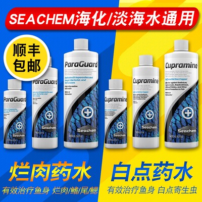海化白点烂肉海水鱼缸疾病预防