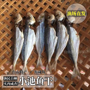 包邮川岛渔家自晒小鱼干广东咸鱼干广海池鱼干海鱼干台山特产海产