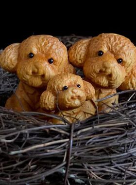 泰迪木雕犬小狗黄杨木崖柏动物