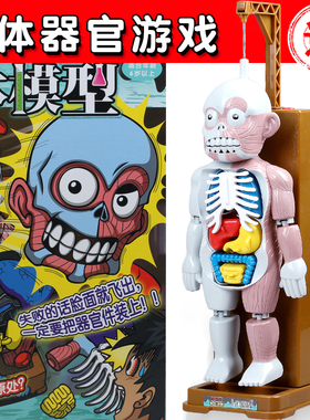抖音同款神器人体模型玩具儿童搞笑成人恶搞拼装骷髅创意解压器官