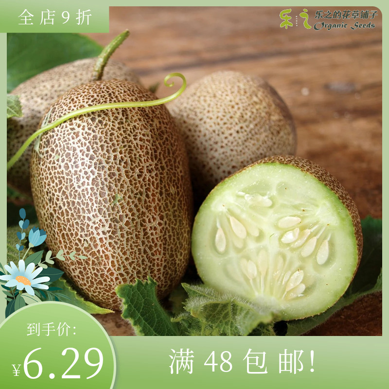 进口传家宝黄瓜种子 小土豆 Cucumber有机可食用庭院多汁蔬菜水果