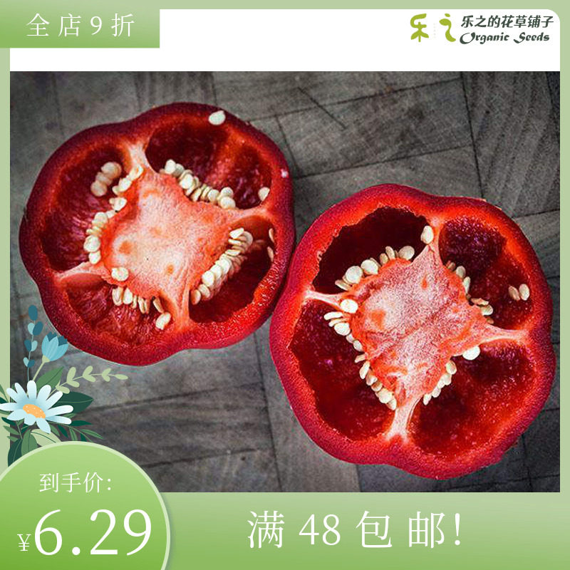 进口甜椒种子 阿什郡多香果 庭院阳台有机水果辣椒可盆栽食用蔬菜