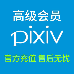 pixiv 高级会员 p站 代充 二次元插画图片