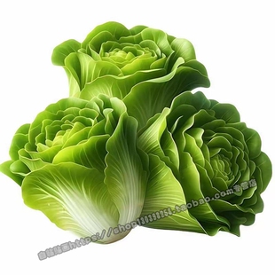 厨房装饰蔬菜水果贴纸墙面遮丑瓷砖防水贴纸墙面门窗新鲜蔬菜贴花