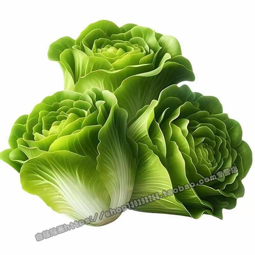 厨房装饰蔬菜水果贴纸墙面遮丑瓷砖防水贴纸墙面门窗新鲜蔬菜贴花