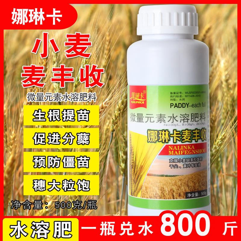 麦丰收小麦专用叶面肥生根壮苗返青防僵苗分蘖增产灌浆穗大水溶肥