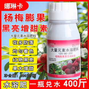 杨梅专用大量元素水溶肥杨梅膨果黑亮增甜素促花壮果靓果上色着色