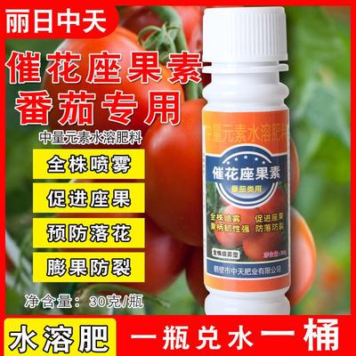 番茄西红柿圣女果专用水溶肥