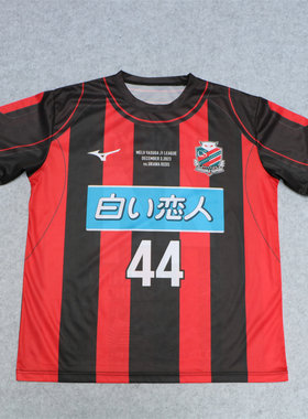 短袖运动球衣套头衫速干球服