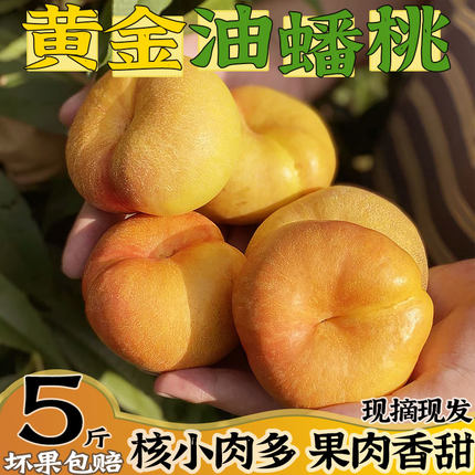 河南南阳黄金奶油蟠桃5斤现摘应季新鲜水果彩虹奶油扁桃整箱油桃