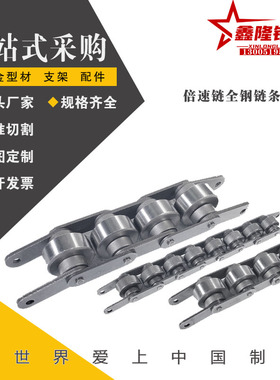 VMW02-BS10 25 30-C206B 208A 210A 212 216A 212AaAb  3倍速链条