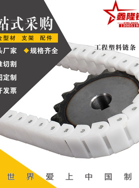 RS40P传动CHEEH/VMS01工程塑料pom链条CHEEC40W/CHEED CHEE60/02