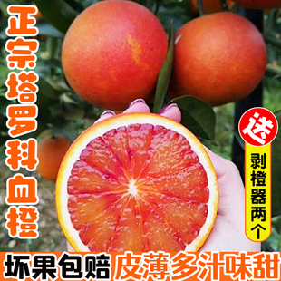 正宗麻阳塔罗科血橙新鲜水果农家橙子