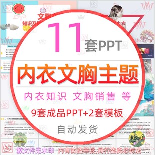 文胸销售技巧培训案例调查招商介绍PPT模板内衣发展史营销策划wps