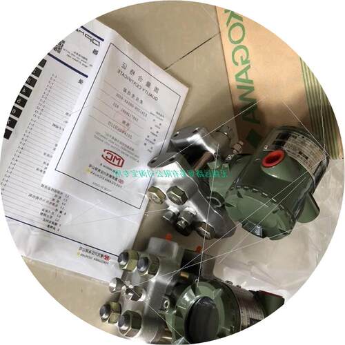 议价YOKOGAWA/横河流量计DN250 SE325MM-DZD2C-LS2-D1NN/S原装