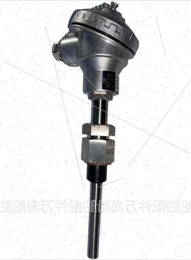 议价 TP R310 0200C L=100mm Pt100 温度传感器议价
