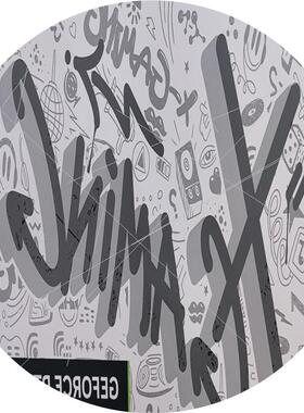 议价索泰4070Ti 12G X gaming OC欧泊白 /议价