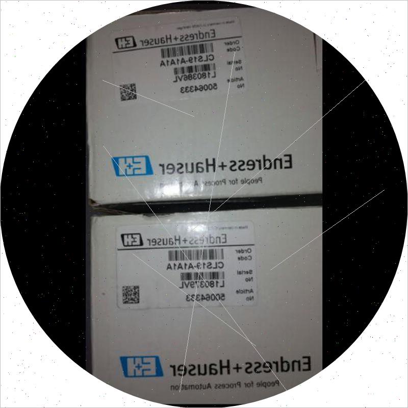 议价全新原装正品E+H电导率电极CLS19-A1A1A现货特价议价