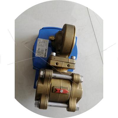 议价非实价议价议价议价议价-ELETTA.S25-GL40,铜质阀门.只有一台