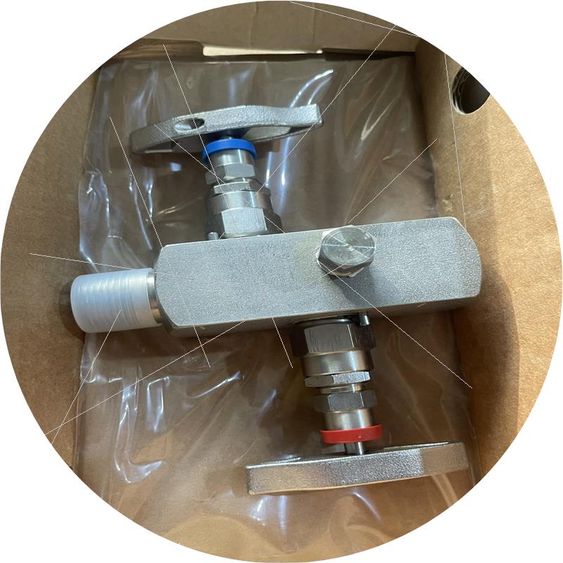 议价E+H压力表变送器二阀组DA63M-TB2BGG 689b