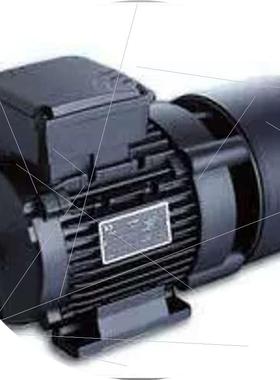 议价意大利ICME进口电机0.09KW/0.18KW/0.37KW/0.75KW/1.5KW/2.2K