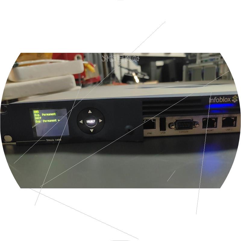 议价Infoblox DHCP专用服务器   Trinzic 1