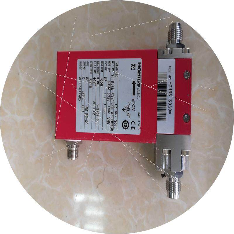 议价HORIBA SEC-Z514MGX  10SLM 流量计