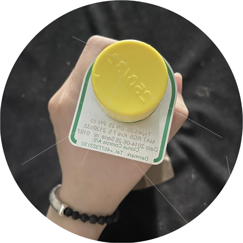 议价Clorius L3S DN 25 阀体 全新原装现货议价