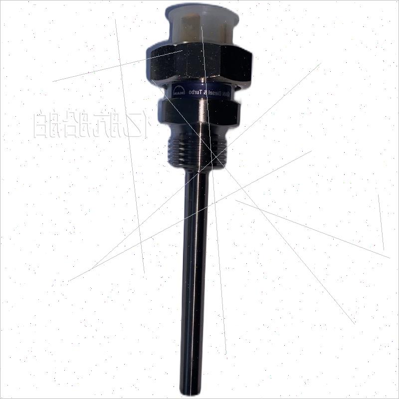 议价 MAN 3456.99411-0454 2xPt1000 Class B 温度传感器议价