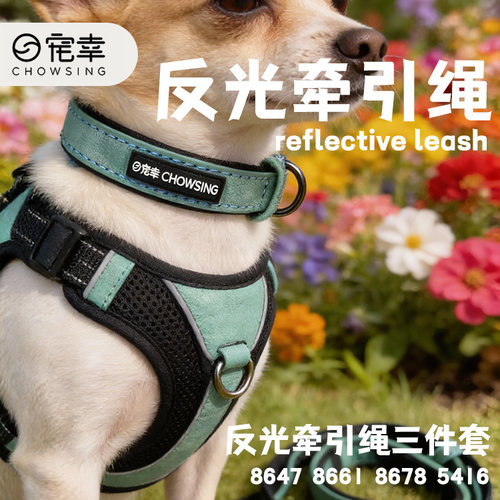 宠幸 反光背带牵引绳猫咪工字型背带挣脱小型遛狗外出调节