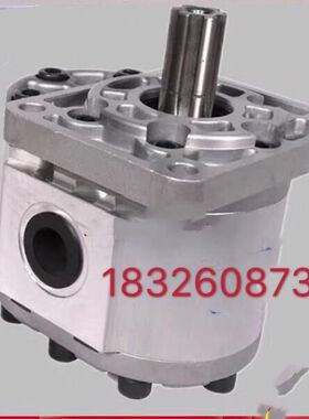 原装正品液压齿轮泵CBN-F532/540/550/563/580-BLHL 螺纹油口