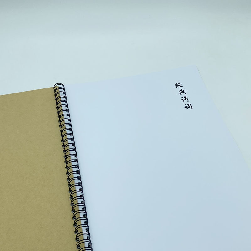 唐诗宋词经典古诗词钢笔字帖硬笔簪花小楷书行书行楷隶书瘦金