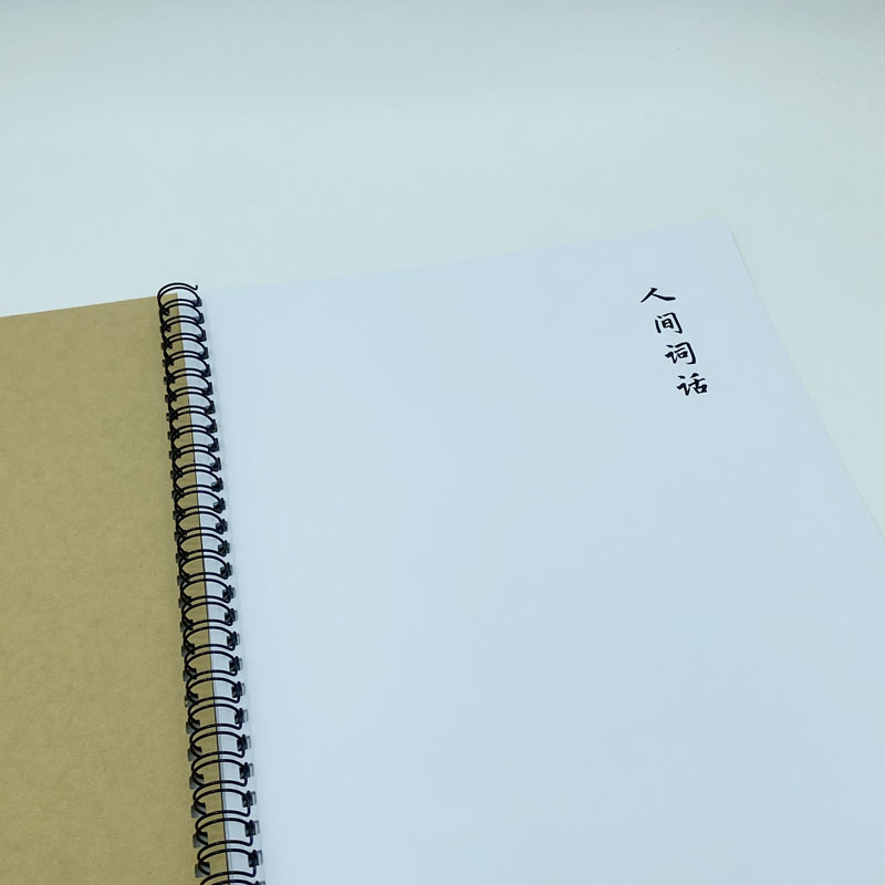 人间词话硬笔钢笔字帖