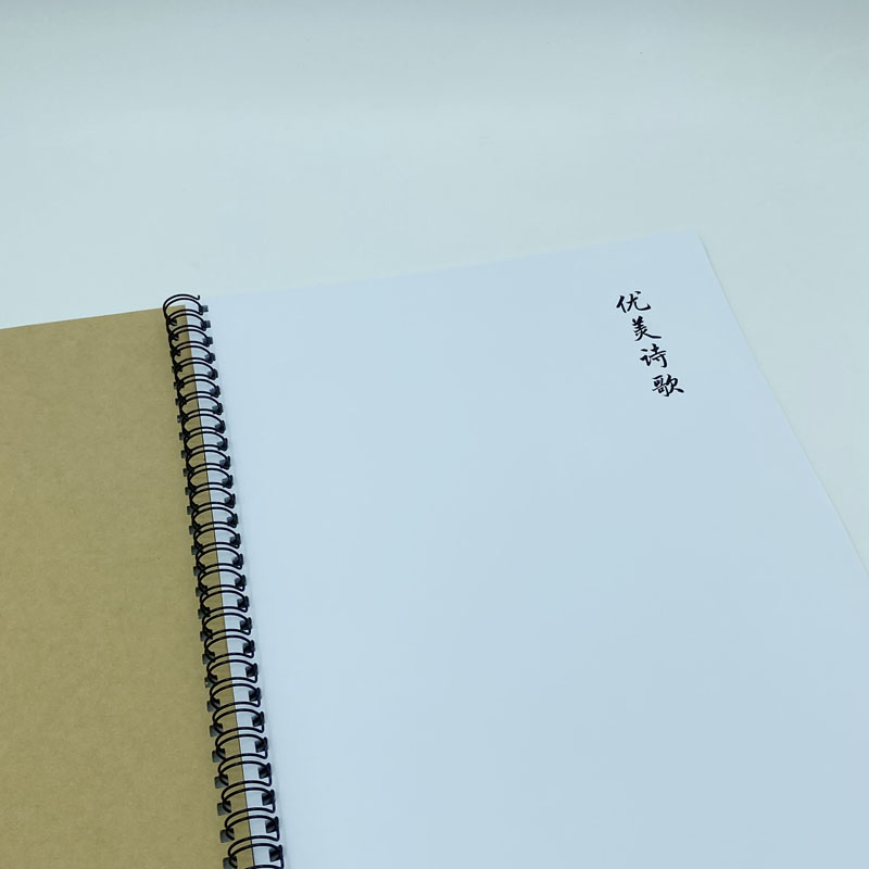 优美诗歌 硬笔钢笔字帖 瘦金体簪花小楷书隶书行书行楷